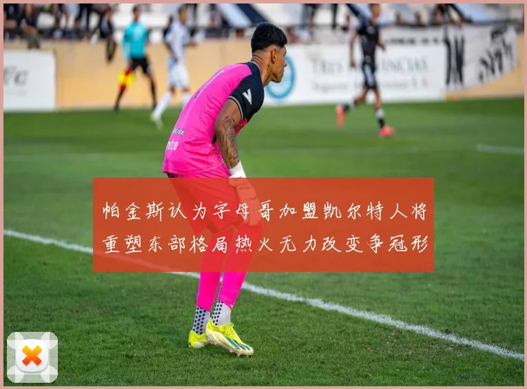 帕金斯认为字母哥加盟凯尔特人将重塑东部格局热火无力改变争冠形势