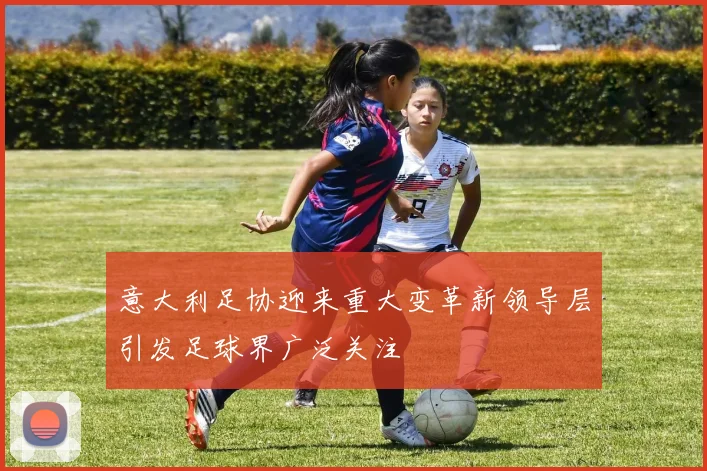 意大利足协迎来重大变革新领导层引发足球界广泛关注